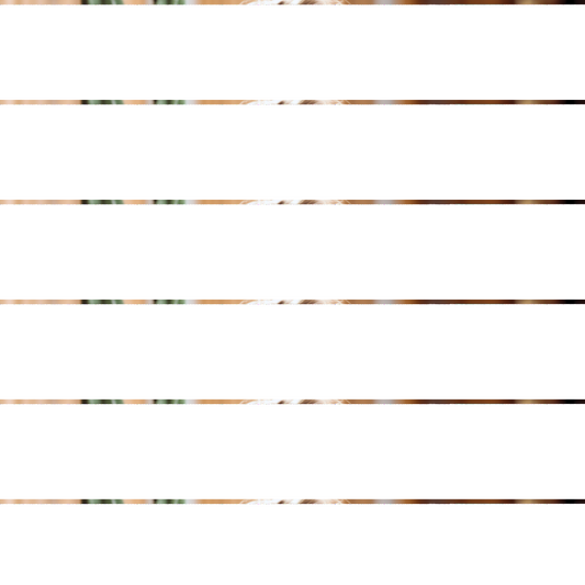 Wild Child Toddler Tee